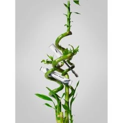 KVD Vegan Beauty Epic Curl Lash Primer -MAC Butik kvd vegan beauty epic curl lash primer 2